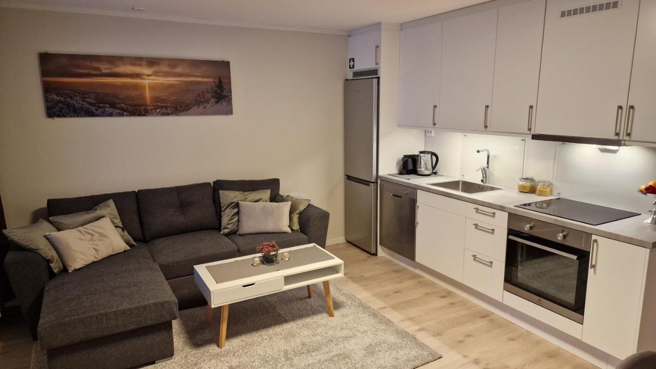 Haugetuft Apartments Amot  Eksteriør bilde